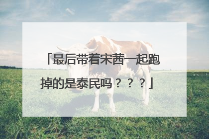 最后带着宋茜一起跑掉的是泰民吗？？？