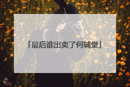 最后谁出卖了何辅堂