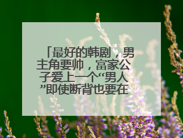 最好的韩剧,男主角要帅,富家公子爱上一个“男人”即使断背也要在一起,最后知道他是女生,在一起的韩剧