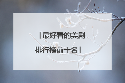 最好看的美剧排行榜前十名