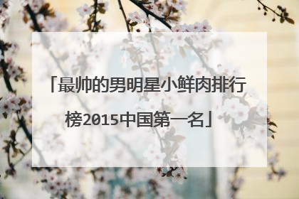 最帅的男明星小鲜肉排行榜2015中国第一名