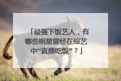 最强下饭艺人,有哪些明星曾经在综艺中“直播吃饭”?