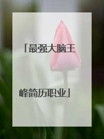 最强大脑王峰简历职业