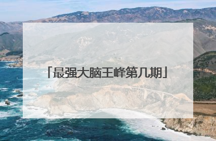 最强大脑王峰第几期