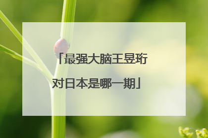 最强大脑王昱珩对日本是哪一期