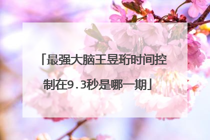 最强大脑王昱珩时间控制在9.3秒是哪一期