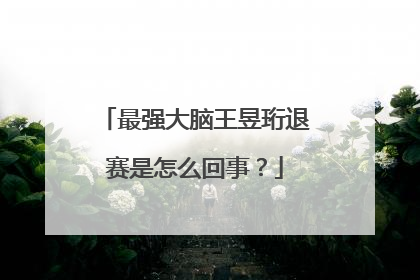 最强大脑王昱珩退赛是怎么回事？