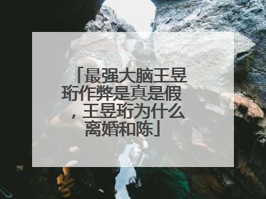 最强大脑王昱珩作弊是真是假,王昱珩为什么离婚和陈