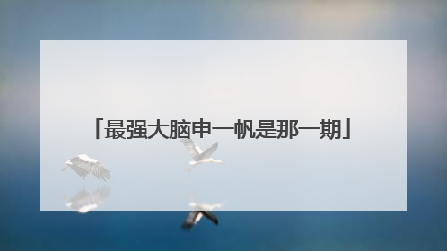 最强大脑申一帆是那一期