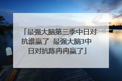 最强大脑第三季中日对抗谁赢了 最强大脑3中日对抗陈冉冉赢了
