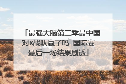 最强大脑第三季最中国对X战队赢了吗 国际赛最后一场结果剧透