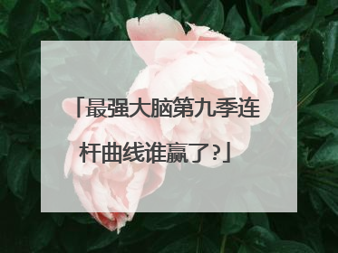 最强大脑第九季连杆曲线谁赢了?