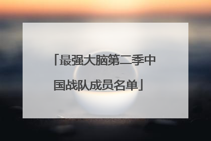 最强大脑第二季中国战队成员名单