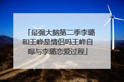最强大脑第二季李璐和王峰是情侣吗王峰自曝与李璐恋爱过程