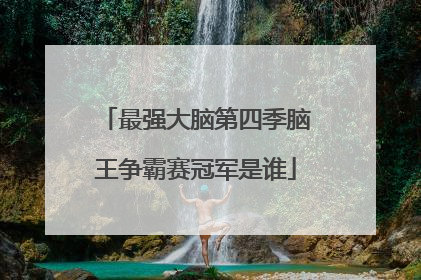 最强大脑第四季脑王争霸赛冠军是谁