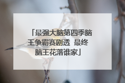 最强大脑第四季脑王争霸赛剧透 最终脑王花落谁家