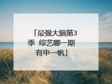 最强大脑第3季 综艺哪一期有申一帆