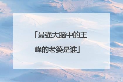 最强大脑中的王峰的老婆是谁
