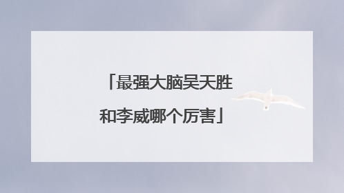 最强大脑吴天胜和李威哪个厉害