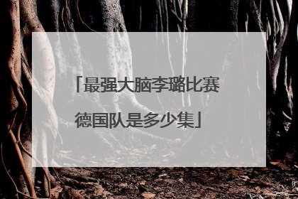 最强大脑李璐比赛德国队是多少集