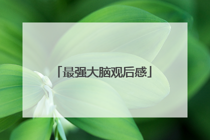 最强大脑观后感