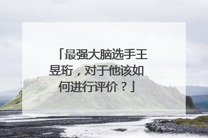 最强大脑选手王昱珩，对于他该如何进行评价？