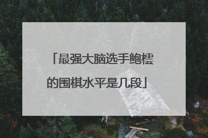 最强大脑选手鲍橒的围棋水平是几段