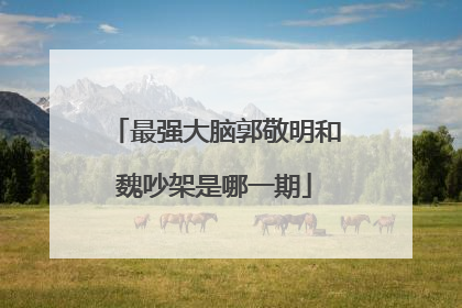 最强大脑郭敬明和魏吵架是哪一期