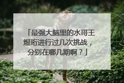 最强大脑里的水哥王煜珩进行过几次挑战，分别在哪几期啊？