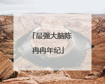 最强大脑陈冉冉年纪