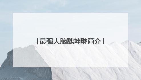 最强大脑魏坤琳简介