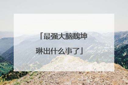 最强大脑魏坤琳出什么事了