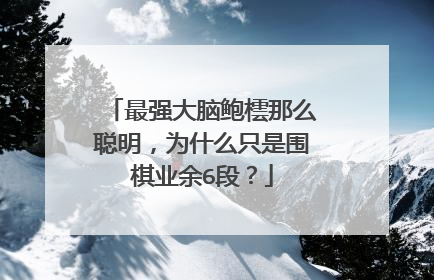 最强大脑鲍橒那么聪明,为什么只是围棋业余6段?