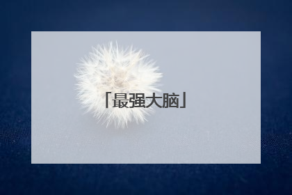 最强大脑