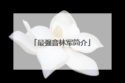 最强音林军简介