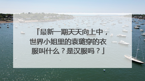 最新一期天天向上中,世界小姐里的袁璐穿的衣服叫什么?是汉服吗?