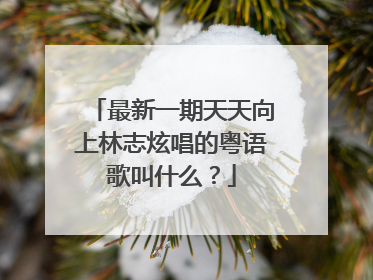 最新一期天天向上林志炫唱的粤语歌叫什么？