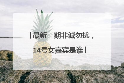 最新一期非诚勿扰， 14号女嘉宾是谁