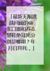最新无限挑战回顾的GD张口器和苏志燮鞋垫耳光分别是哪期？年月日拜托，