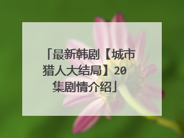 最新韩剧【城市猎人大结局】20集剧情介绍