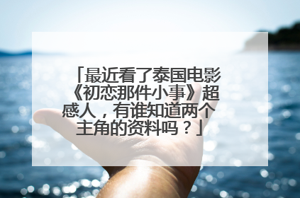 最近看了泰国电影《初恋那件小事》超感人，有谁知道两个主角的资料吗？