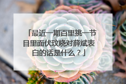 最近一期百里挑一节目里面伏玟晓对薛斌表白的话是什么?