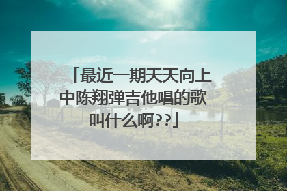 最近一期天天向上中陈翔弹吉他唱的歌叫什么啊??