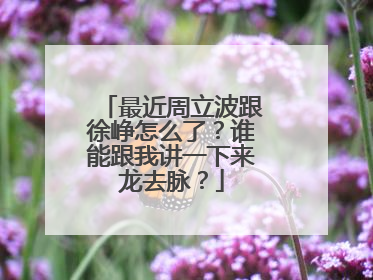 最近周立波跟徐峥怎么了？谁能跟我讲一下来龙去脉？