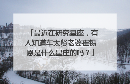 最近在研究星座，有人知道车太贤老婆崔锡恩是什么星座的吗？