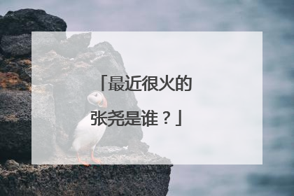 最近很火的张尧是谁?