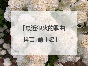 最近很火的歌曲抖音 前十名