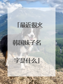 最近很火韩国妹子名字是什么