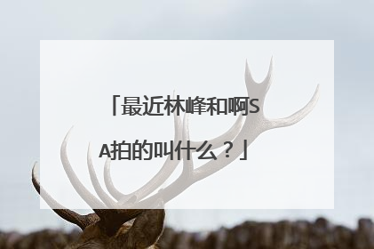最近林峰和啊SA拍的叫什么?
