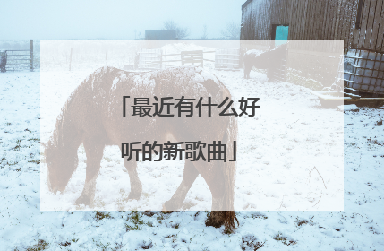最近有什么好听的新歌曲